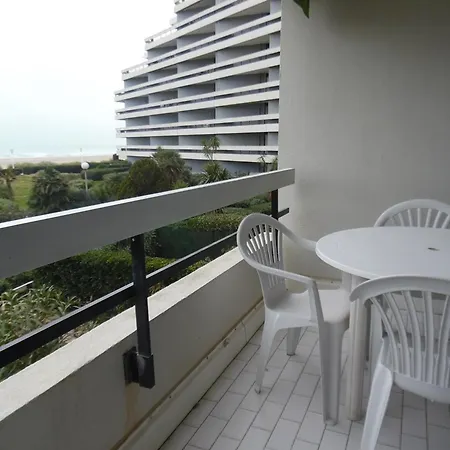 Apartment Renove Pour 4 Pers Avec Climatisation Et Parking, Face - Fr-1-750-73 Canet-en-Roussillon